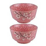 Bol en porcelaine japonaise : chic et élégant, idéal pour servir des fruits, des salades, des soupes, des ramen et bien plus . joli bol en céramique