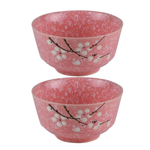 SAFIGLE Ciotole in Ceramica Stile Giapponese 2 Pezzi Ciotole per Zuppa e Frutta Colorate da 5 Pollici Insalatiera Multiuso per Cucina Casa