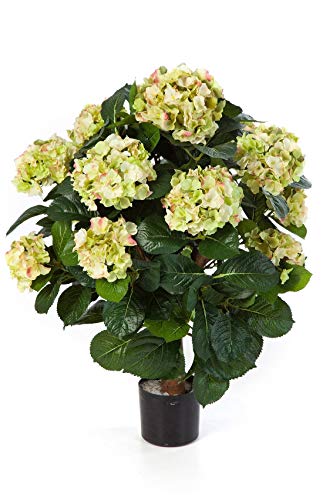 artplants.de Kunst Hortensie Haruka, 540 Blüten, Creme - grün, Deluxe, 60cm - Hortensie künstlich - Kunst Blume