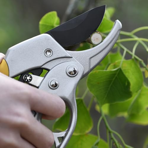 Tijeras de podar profesionales de aleación de titanio 8.5 pulgadas miniatura 4