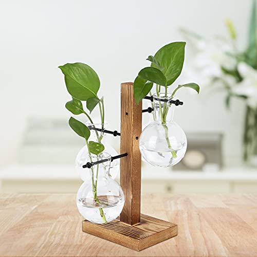 Vase hydroponique en verre avec support en bois, terrarium et station de propagation pour la maison ou le café (vase à 4 bulbes)