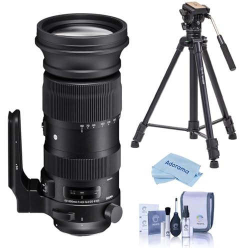 Sigma 60-600mm F4.5-6.3 DG OS HSM スポーツカメラレンズ ブラック (730954) Canon EFマウントバンドル Vanguard Alta Pro 264AT 三脚とTBH-100ヘッド付き Arca-Swiss T
