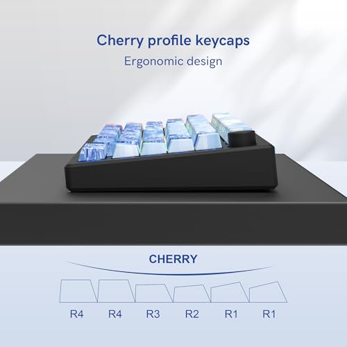 Image of dagaladoo Blue Keyboard keycaps,Double Shot PBT keycaps | Shine Through Keycaps dye-sub,Side Print,Cherry Profile keycaps for Mechanical Keyboard 60% /65% /75% /TKL /96% /100%