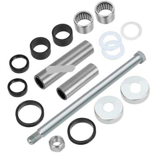 Kit roulement de bras oscillant arrière 2JN-22141-00-00 pour Blaster 200