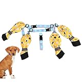 ゑFonctions multiples : avec la possibilité de serrer les sangles pour un ajustement idéal et un loquet de sécurité qui empêche de glisser, ces chaussures pour chiens comprennent des sangles réglables qui maintiennent la chaussure fermement en place.