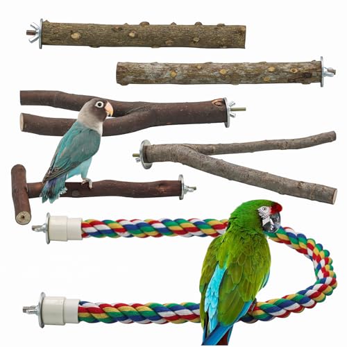 matafat ̎~܂ 5 VR؃X^h IÊ1 [vp[` IEAIJCRACRAZLZCCRAtB`p