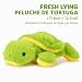 Rusokufo Peluche Tortuga 22 Cm Suave Y Agradable Imagen de Rusokufo Peluche Tortuga 22 Cm Suave Y Agradable