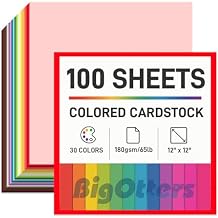 BigOtters 100 Sheets Cardstock, Colored Cardstock Printer Paper 30 Assorted Colors, Construction Paper, for DIY Crafts Scrapbook, Back to School Supplies, 12x12 Inches, 70lb/180GSM