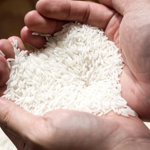 Insta Rice ST25 Premium Vietnamese Jasmine Rice 20kg (2x10kg Packs) - Great Taste 2024 Winner - Fragrant, Soft and Fluffy Long-Grain Rice for Asian, Thai and Everyday Cooking