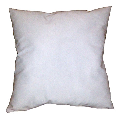 ReynosoHomeDecor 24x30 Pillow Insert Form