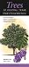 Trees of Central Texas: A Guide to Common Native Species (Quick Reference Guides)