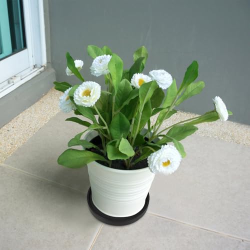 Plateaux pour pots de fleurs avec collecte d'excès d'eau efficace - 7