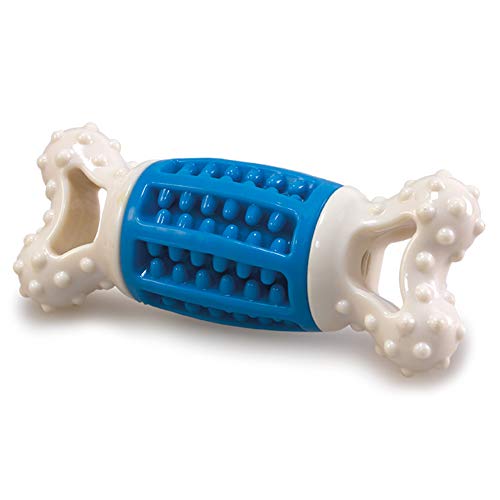 Arquivet Super robuster Zahnknochen
