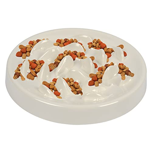 TMBMLPP Gamelle Anti-Accroc pour Chien, Feeder Bol Lent Bol Interactif Gamelles pour Chien AntidéRapant Favorise La Digestion Gamelle pour Chien Convient Aux Chiens Et Chats (Blanc) Cover