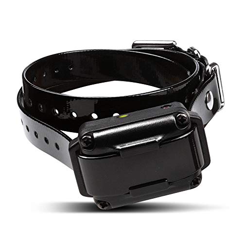 Dogtra iQ Plus Rechargeable Waterproof 400-Yard Remote Dog Training E-Collar