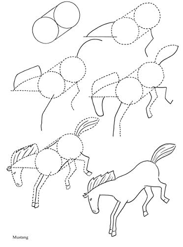 How to Draw Horses: Step-By-Step Drawings!