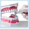 9Pcs/Set Dental Composite Polishing Kits RA0309 Used for Low Speed Contra Angle Kit (1)