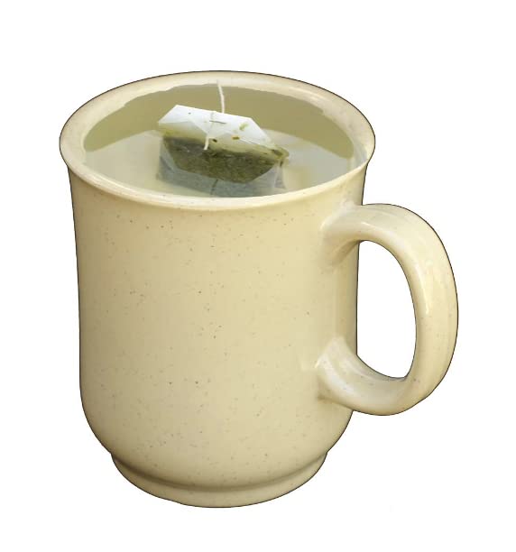 32oz travel coffee mug Magnolia Blocked Sage 32oz Hydrojug Traveler