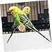 Toyvian 100pcs Disposable Bird Cage Pad Non-Woven Cloth Urine Pads for Parrots Leak Cage Liners Breathable and Safe Bird Bedding for Parakeets and Cockatiels