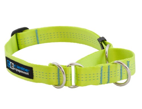 Canine Equipment Technika Hundehalsband, 2,5 cm, Martingale, Größe XL, Limettengrün Cover