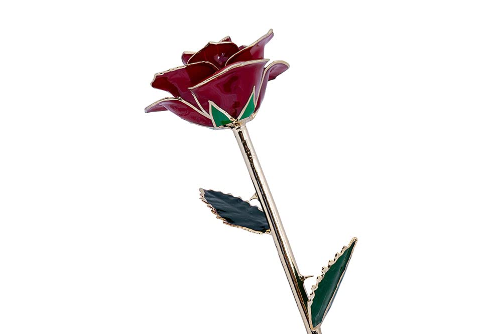 Eternal Rose - Real 24k Gold Dipped Rose - Romantic Gift for Her - Ideal for Valentine's Day, Birthdays, Anniversaries, Weddings, Engagements, Milestones (Burgundy Bliss)