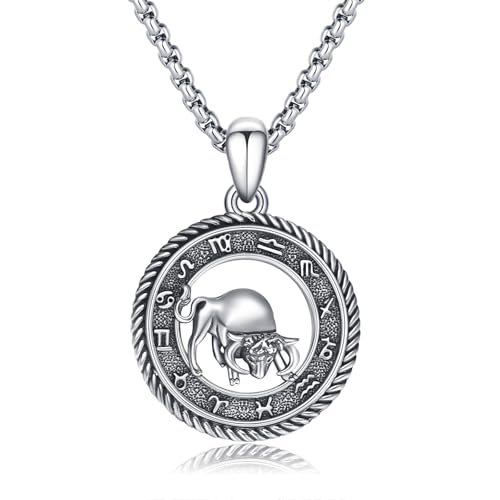 PARYFO Collier avec pendentif 12 signes du zodiaque horoscope pour hommes et femmes oxydé/or pendentif constellations astrologie collier cadeau d'anniversaire unisexe avec chaîne en acier inoxydable