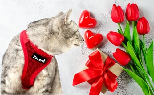Beroni® Katzengeschirr ausbruchsicher 2.0 Better cat Harness Sicherheitsgeschirr Escape Proof kleine und große Katzen verstellbar Katzenleine Outdoor