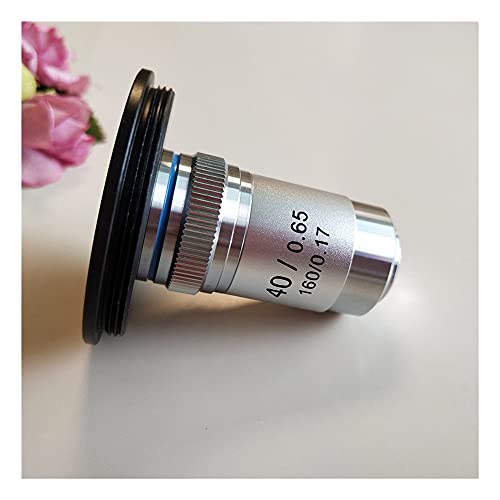 {pANZT[ p20.2mmAM42~ RfW^JɃA~A_v^[O}Eg4{100{ʐF̑ΕY(Ring and 40x lens)