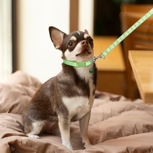 3 Stück Hundehalsband und Leine Set, Welpenhalsbänder mit Leinee, Verstellbares Hundehalsband mit Leine Weich Welpen Schnellverschluss Nylon Haustier Halsband für Kleine Hunde Mittlere