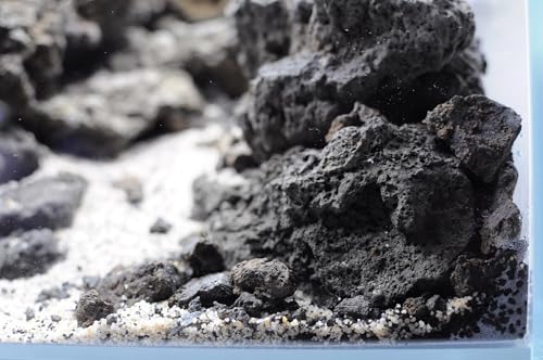 Croci Amtra Ivory Quartz - Naturboden für Süß- oder Meerwasseraquarien, ungiftig, fein 0,8-1,2 MM /2 KG