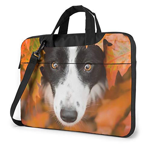 t {[_[ R[  PCP[X m[gp\RobO bvgbv یP[X PCobO Ռz y rWlXobO nhobO u[tP[X 񂰃obO t ΂ߊ|obO 13/14/15.6C`