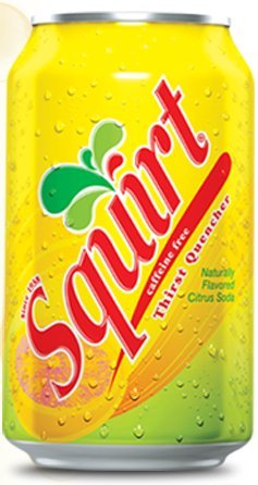 Squirt Soda 12oz Cans (Pack of 12)