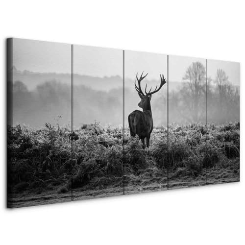 murando Cuadro en Lienzo Ciervo 225x90 cm Impresión de 5 Piezas Material Tejido no Tejido Impresión Artística Imagen Gráfica Decoracion de Pared Naturaleza Animale Paisaje g-B-0047-b-o
