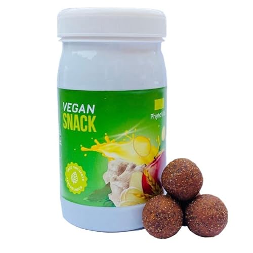 Vegan Healthy Snacks 100% naturels -Sans sucre, sans gluten, à faible teneur en matières grasses -Snack sains pour les adultes végétariens -Snack végétalien Cover