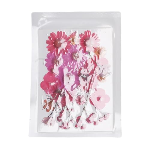 100 Flores prensadas secas para manualidades tipo 2 miniatura 1
