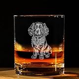 Boykin Spaniel Dog Vintage Engraved Whiskey Glass - Pet Lover Owner Gift - Unique Birthday Gifts - Boykin Spaniel Dog Lovers Gift - Vintage Old Fashioned Glass - Decor For Bar