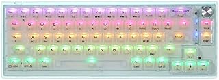 MechLands MC66 65% Hotswap Mechanical Gaming Keyboard, 2.4Ghz/ Bluetooth/USB-C Wired Wireless Keyboard with Programmable RGB, Double Sound Absorbing Silicone Pad for Win/MAC/iOS/Gaming/Office