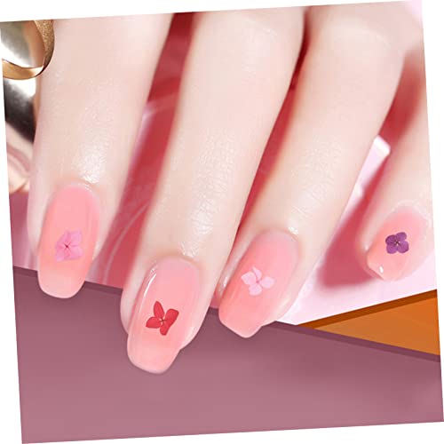 COHEALI 9 Caixas De Fundição Para Sabão Folhas Secas Acessórios Fazendo Flor Vela D Moldes De Adesiv