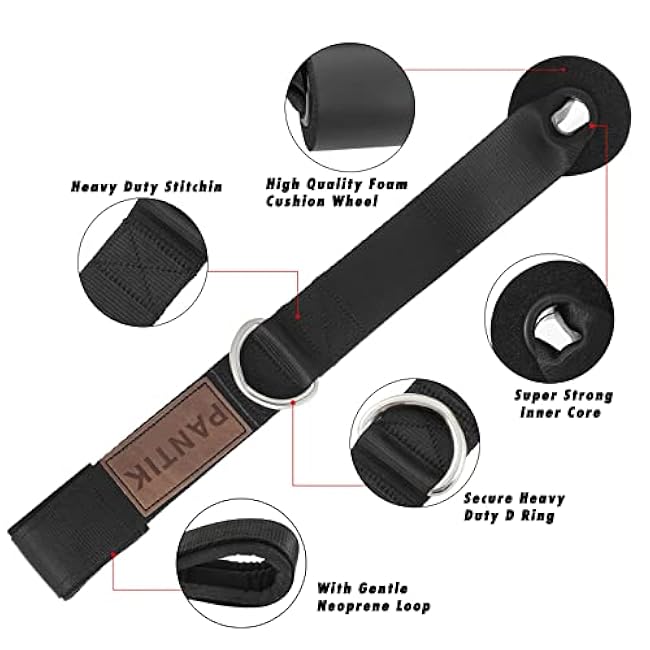 Door Anchor for Resistance Bands Gym & Home Fitness Workout Band Heavy Duty with D Ring Solid Nylon Core Dense Foam Super Strong Nylon Webbing and Neoprene Padding