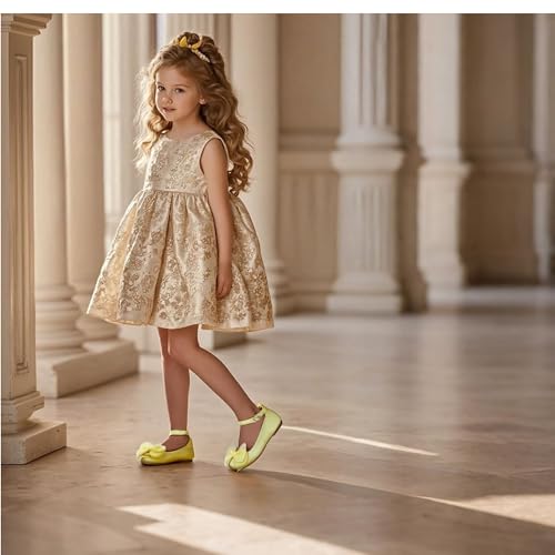 THEE BRON Toddler Little Girl Mary Jane Dress Shoes Princess Ballerina Flat Shoes2