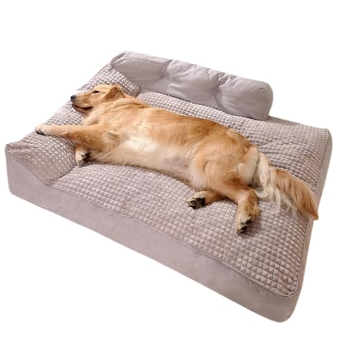 BrownPup  xbh ybg 100ғ^ɓK }bg tݕt 􂦂 L \t@  NbV X[sOpbh dĈȂۉ ^ ^ ^ ɓKĂ܂ (GKgO[,M)