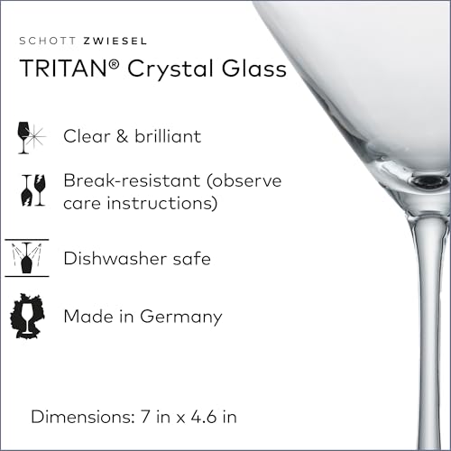 SCHOTT ZWIESEL Classico Martini Glass (Set of 6), Martini Glasses, Dishwasher-Safe Tritan Crystal Glasses, Made in Germany (8.5 Ounce)
