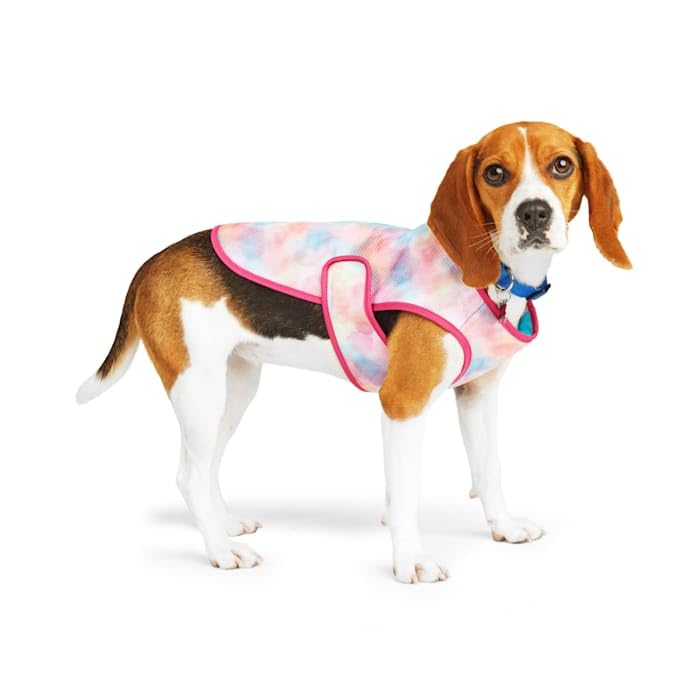YOULY Cooling Watercolor Vest for Dogs, X-Large