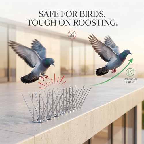 Image of Birrd Spikes for Balcony & AC Outdoor I Transparent Polycarbonate Bird Deterrent Spike | Pigeon Control | Anti Roosting Spikees for Terrace, Window, Solar Panels (Regular Bird Spike Pack of 10)