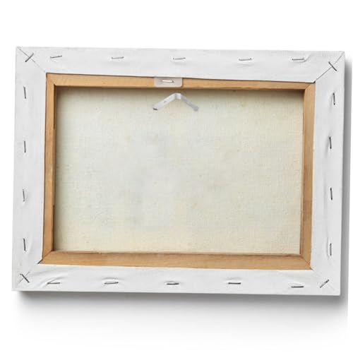 Image of 50Pcs Spring Clips for Picture Frames Invisible Fixation Durable Photo Hanging Hardware Easy Install for Wall Art and Crafts