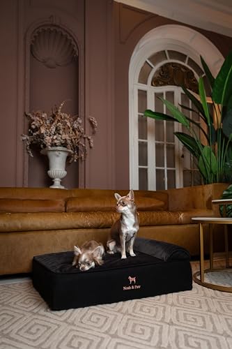 Image of NOAH & PAW Large Dog Bed, 35x25x11 Inch, Orthopedic Dog Beds, Eggshell Memory Foam Infused with Cooling Gel, Inner Cover, Water Resistant, Machine Washable (Velvet Sofa Collection)