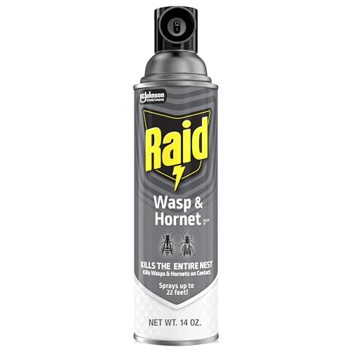Raid Wasp and Hornet Killer Spray, Kills the entire nest, Kills Paper Wasps, Yellow Jackets, Mud...