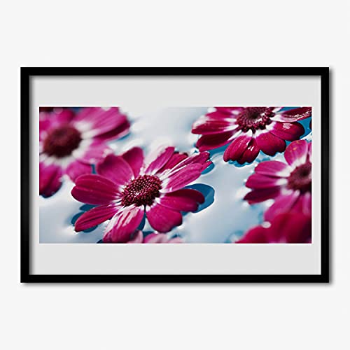 Affiche encadrée 70x50 cm fleurs sur l'eau décoration murale