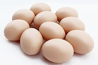 10 Fake Eggs for Hatch Chicken Duck Pigeon Small Geese Incubation Breeding Solid