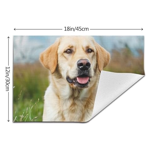 Set de table PVC labrador pour des repas en famille joyeux et des tables d'enfants bien protégées
